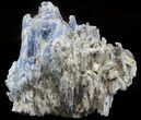 Bladed Kyanite Crystal Cluster with Quartz - Brazil #45007-2